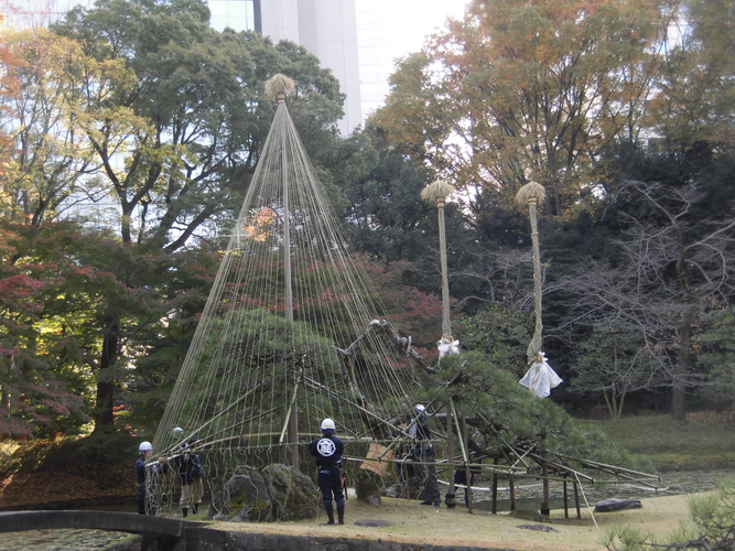 過去の雪吊りの様子