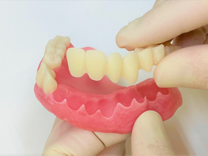 歯と歯茎をくっつけて磨く