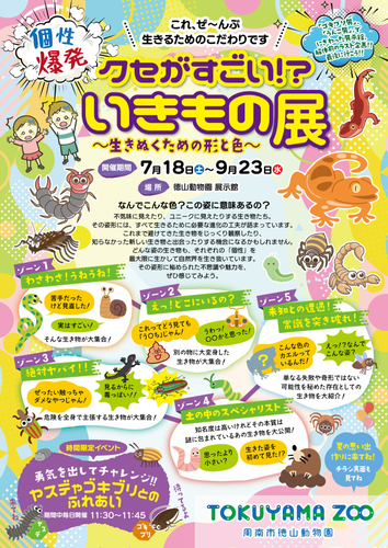 徳山動物園夏のイベントチラシ（表面）