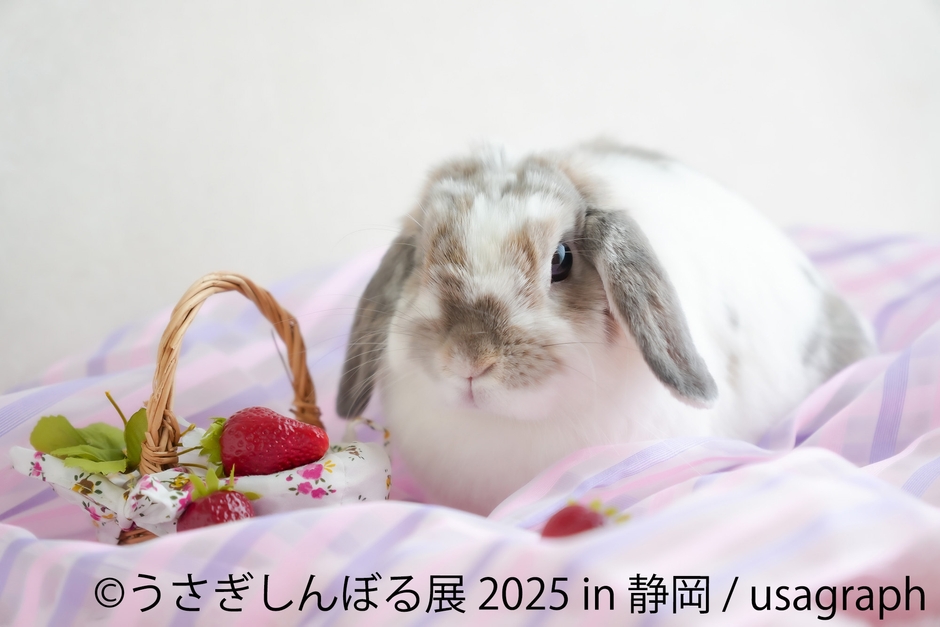 うさぎしんぼる展 展示作品1
