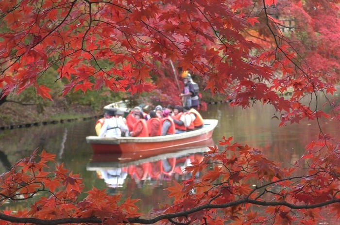 弘前公園中濠紅葉観光舟