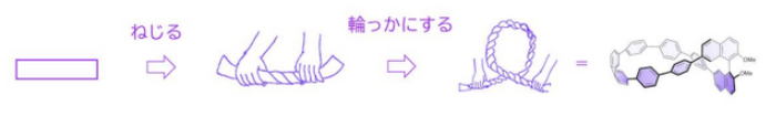 (図2)オリゴフェニレンを「ねじる」「環状にする」の概念図