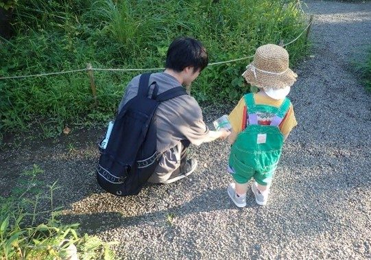 放虫（昨年の様子）