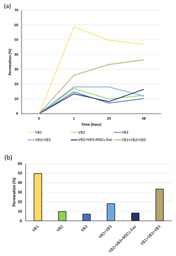 VBの皮膚透過率を検証するための配合元素の検出(図4)