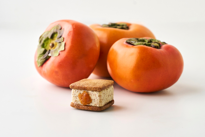 天空の村 &ldquo;紀の川柿&rdquo;