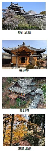 photo#2