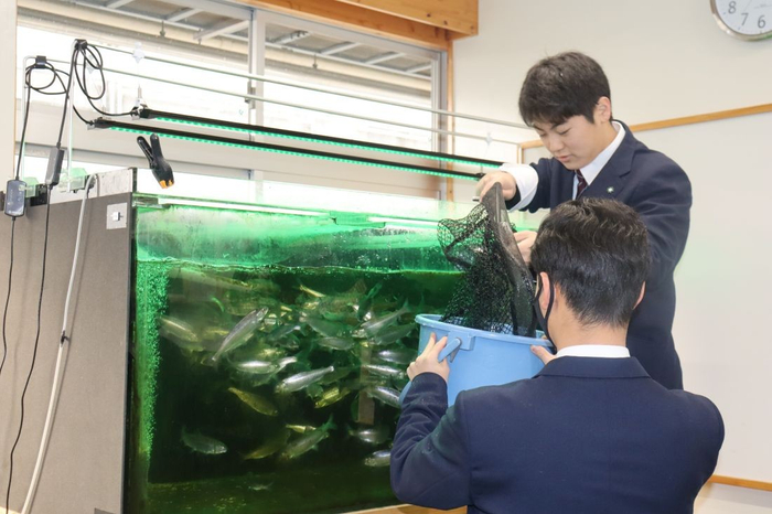 まずは水揚げからスタート