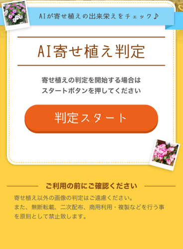 判定スタートボタンを押す