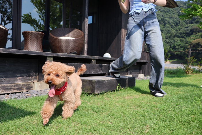 HOTEL VISONドッグヴィラ