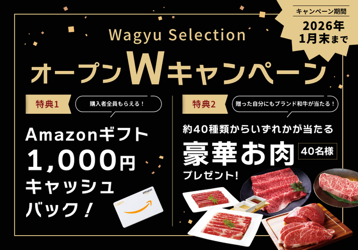 (4)キャンペーン