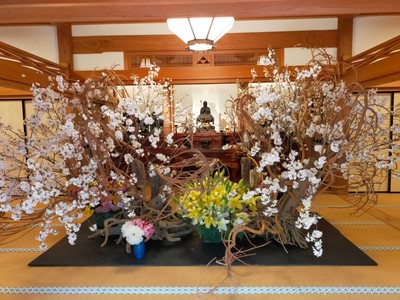 展示作品