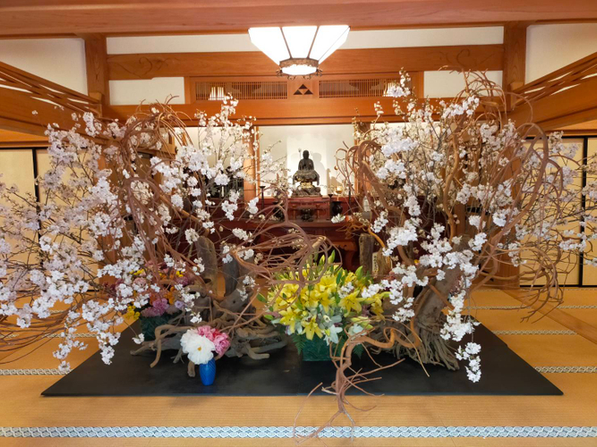 展示作品
