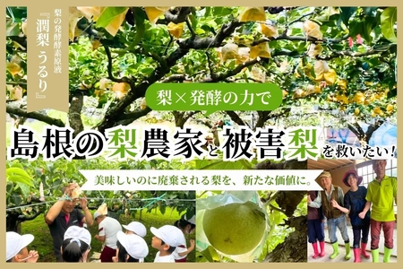 島根県の“被害梨”を活用した発酵酵素ドリンク 「潤梨(うるり)」の先行予約販売を6月7日まで実施