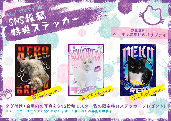 スター猫オリジナルステッカーを限定配布!