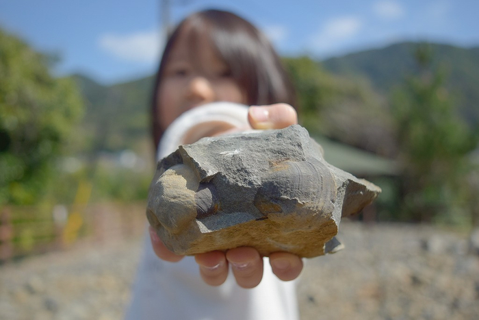 1億年前の二枚貝化石発見!