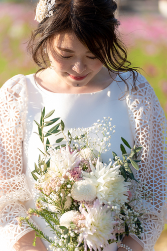 夏は向日葵 秋は秋桜のあわじ花さじき