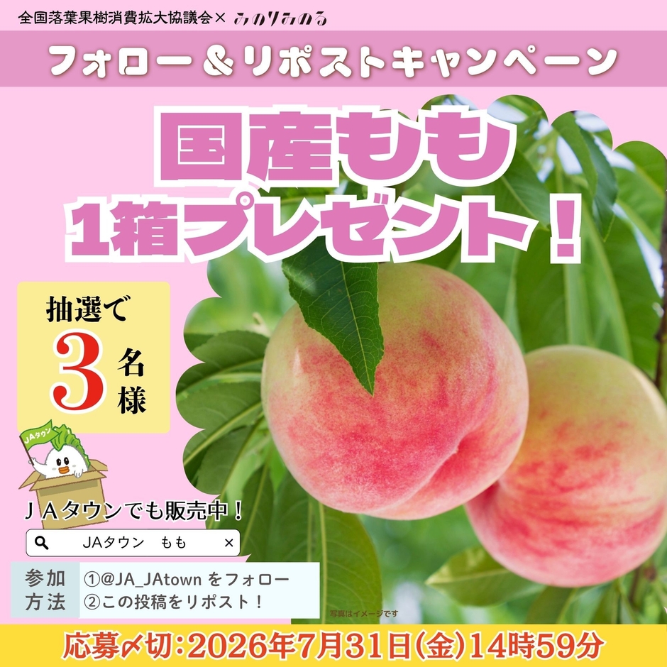 XCP画像