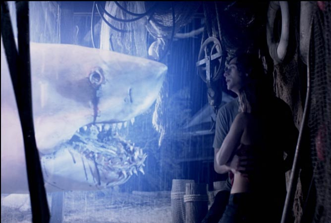 &copy; AED GHOST SHARK, LLC. 2013