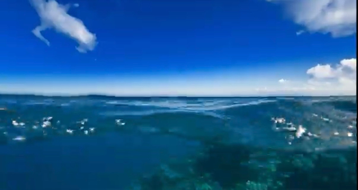 海へ