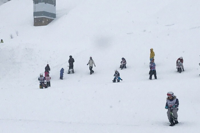 スノーストライダー2