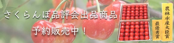 URL：https://www.ja-town.com/shop/e/e10006225/