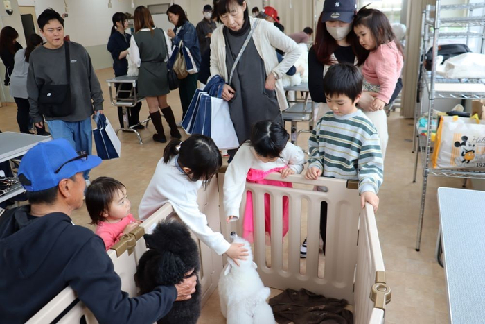 実習犬たちと触れ合う子どもたち