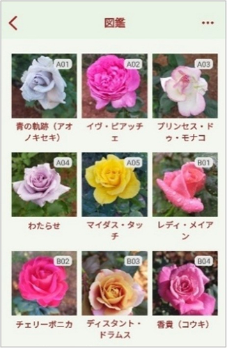 「旧古河バラコレ」の画面