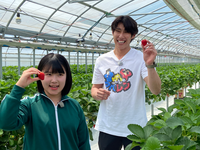 ５品種をイチゴ狩り