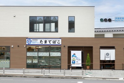 たまてばこ