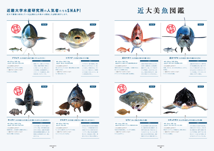 あの注目企画がリニューアル!?