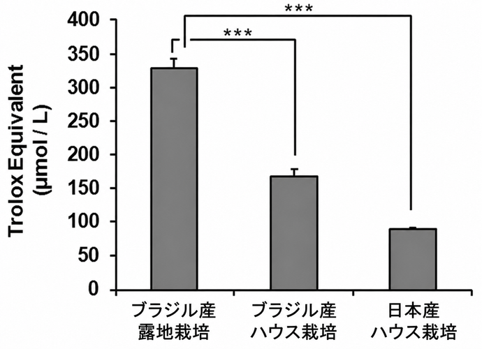 抗酸化活性の比較
