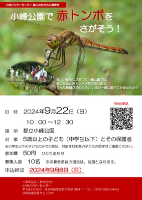 チラシ表