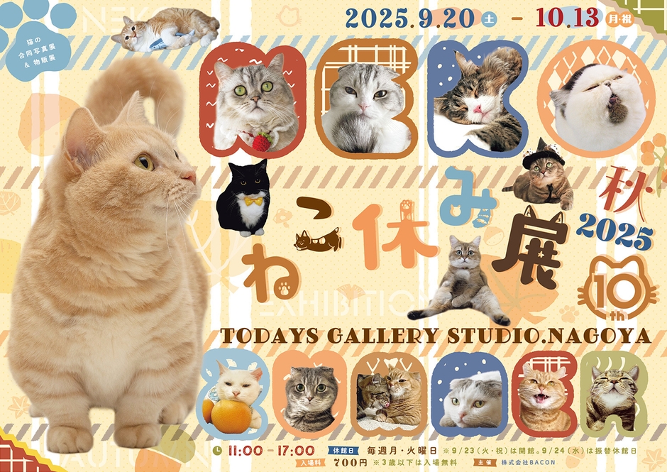 キービジュアル(横)