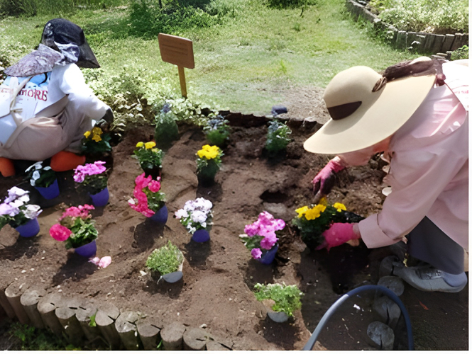 ボランティアの皆さんによる 花壇管理の様子
