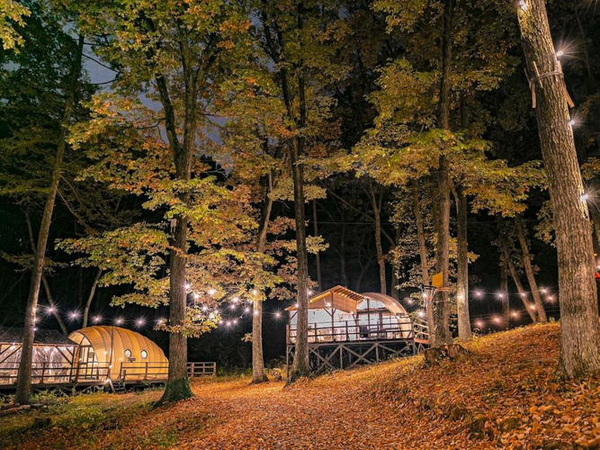 写真(2)：施設全景(夜)