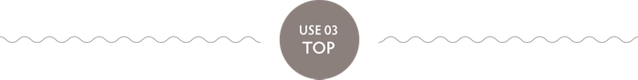 USE 03 TOP