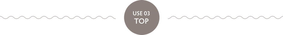 USE 03 TOP