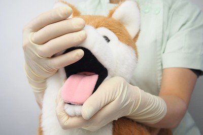 しばわんの口