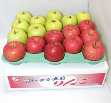 贈答用サンふじ&times;王林約５ｋｇ