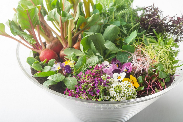 それぞれに個性を持つマイクロリーフ