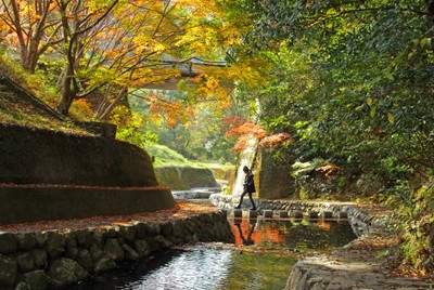 竜門峡の紅葉