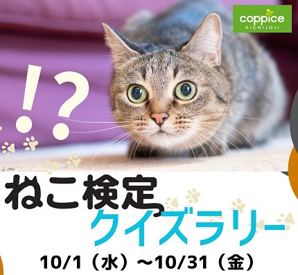 ねこ検定クイズラリー