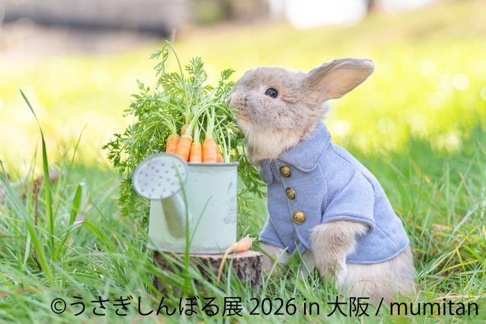 うさぎしんぼる 展示作品：mumitan