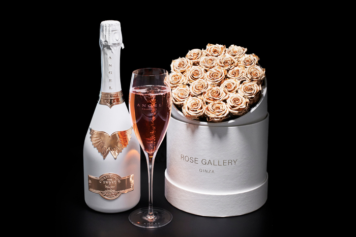 ANGEL CHAMPAGNE &times; ROSE GALLERY