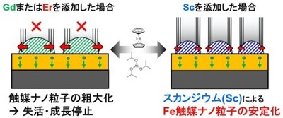本研究結果の概要図
