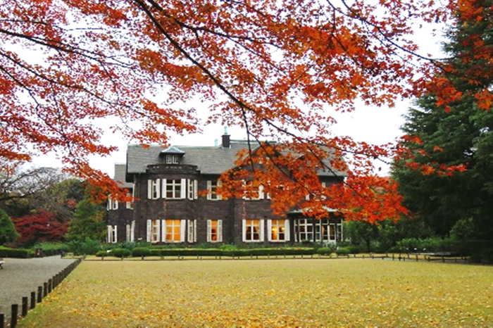 洋館と紅葉