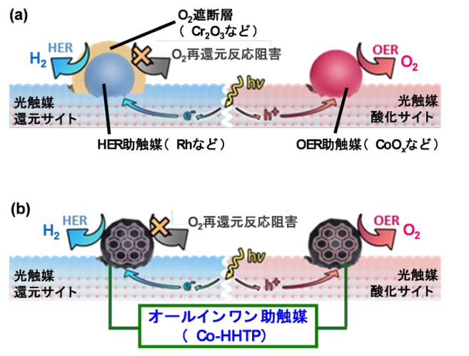 図2.（a）既存の助触媒を用いたOWS光触媒システムと、（b）本研究で追究したオールインワン助触媒を用いたOWS光触媒システム。