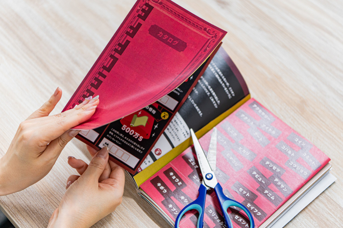 プレイイメージ2