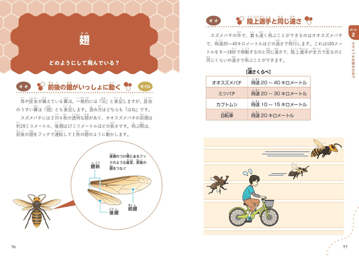 ■Part2　スズメバチの体のひみつ　翅