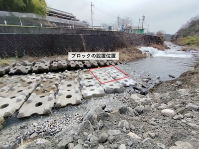 写真1：姉川に設置した根固めブロック